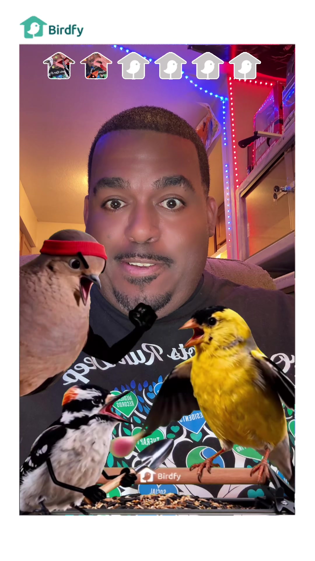 @🐍 Derricks Reptiles 🐍