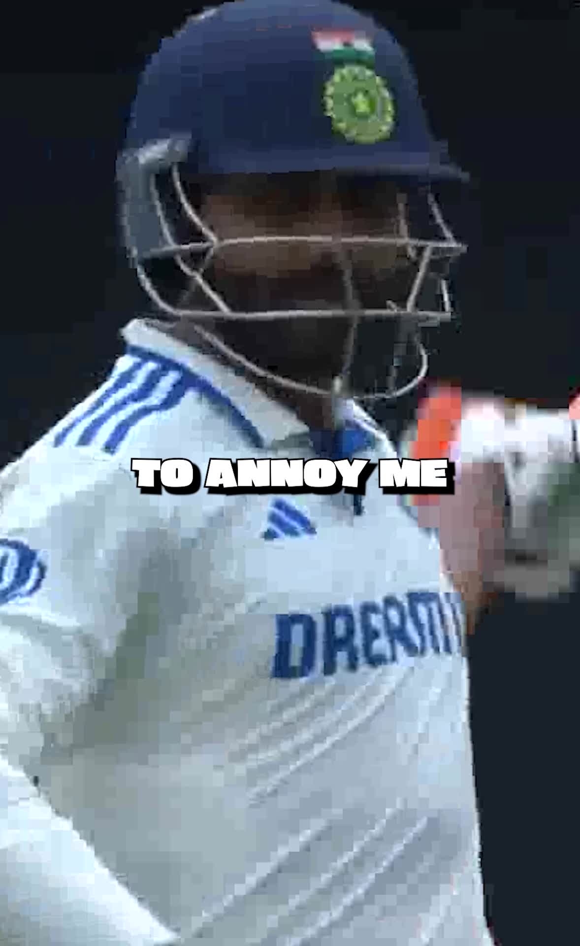 @For The Love of Cricket