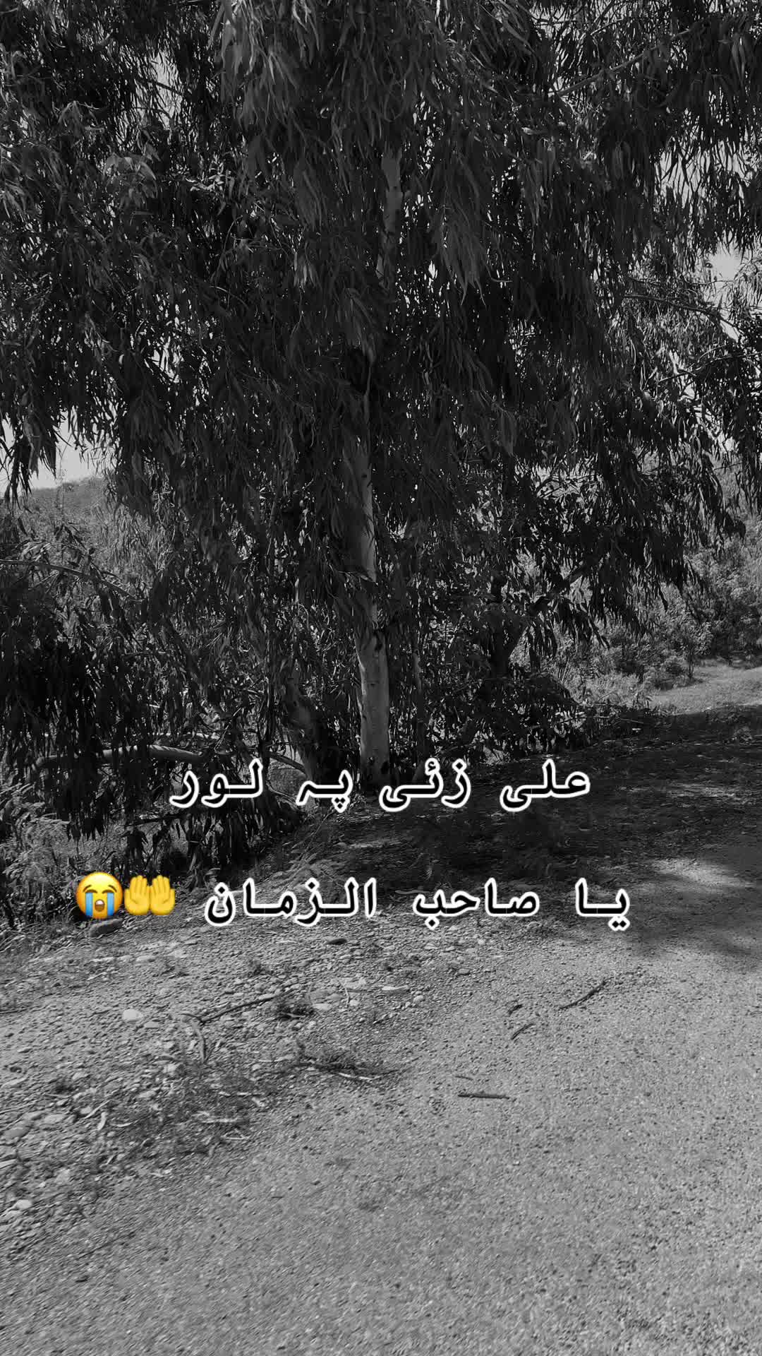 @👑 X Ꮮᴇᴀᴅᴇʀ  👑