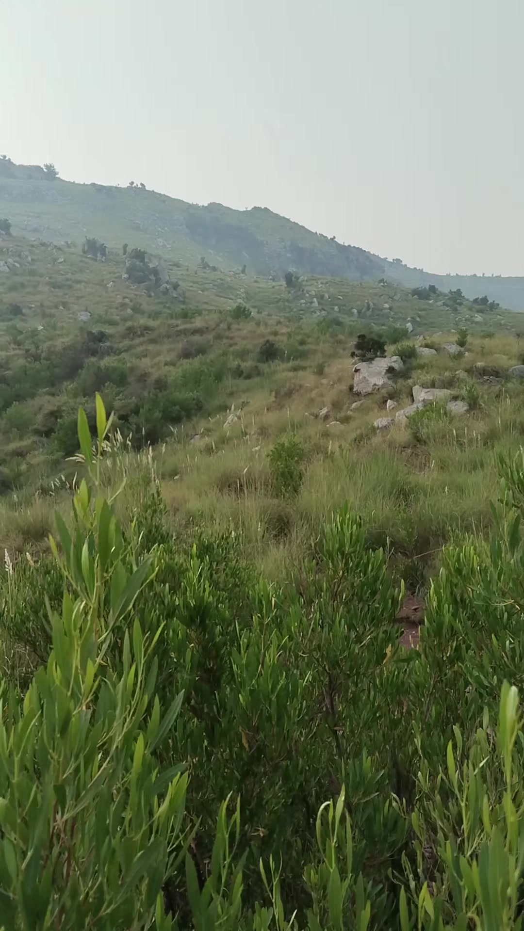 @mkhanafridi22