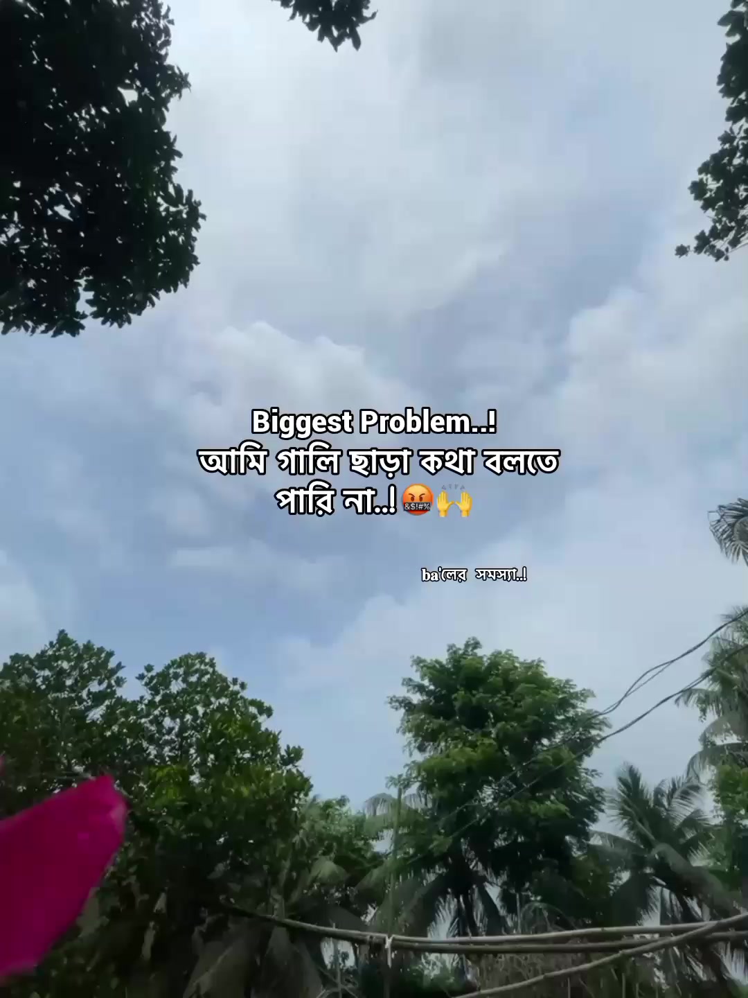 @⁷𝐇𝐚𝐦𝐢𝐝𝐚◡🧃