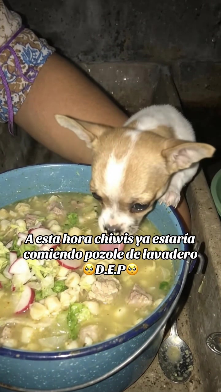 @Javier Villegas
