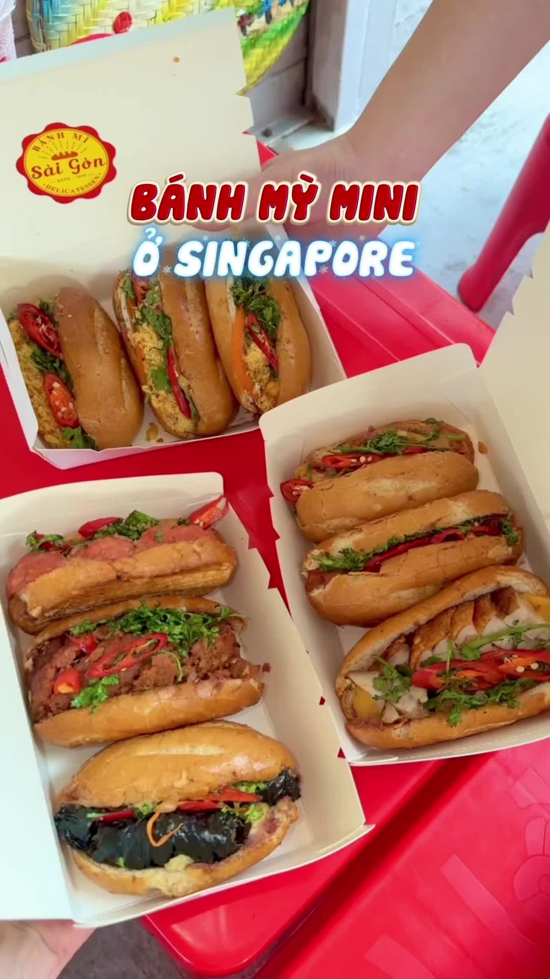 @🇻🇳Trinh B&agrave; Địa ở Sing 🇸🇬