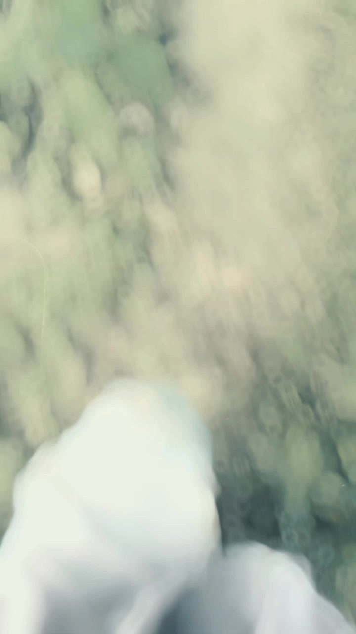 @ᥫ᭡♡𝓖𝓾𝓶𝓶𝔂 𝓑𝓻𝓮𝓪𝓻♡ᥫ᭡
