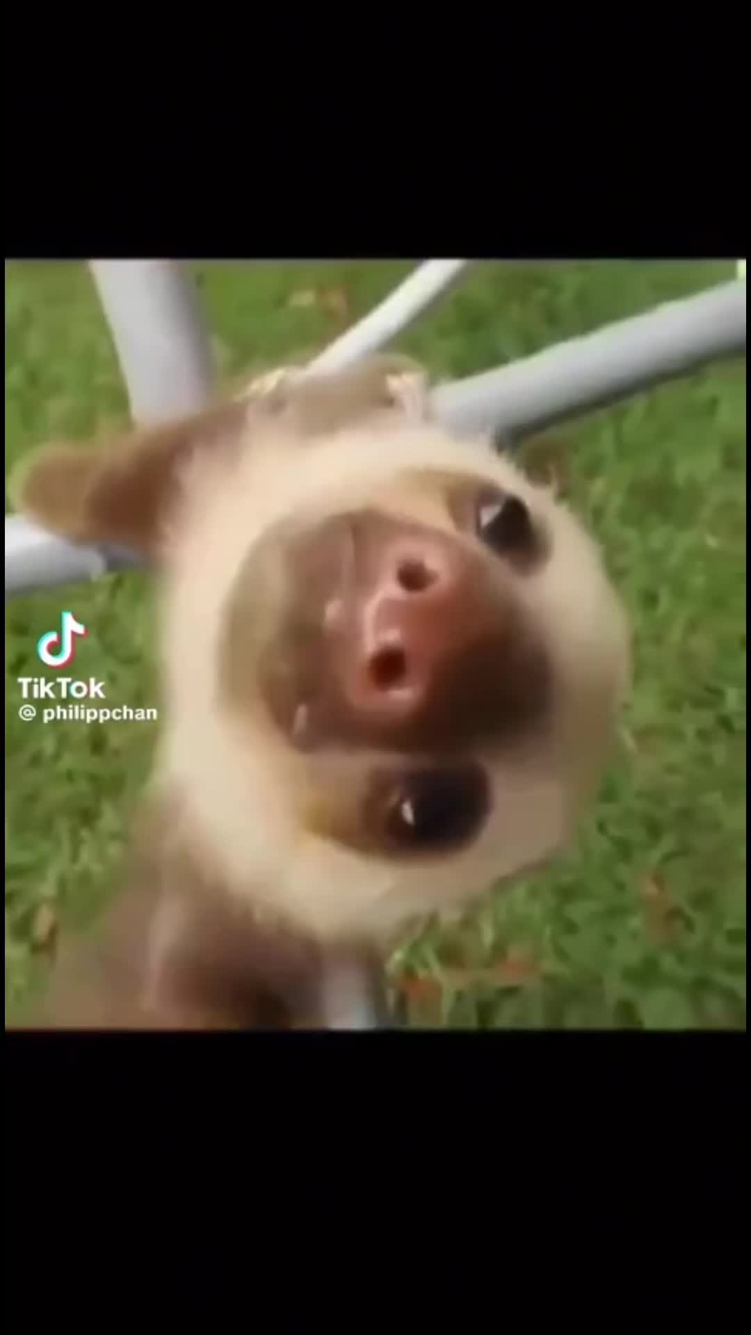 @Z