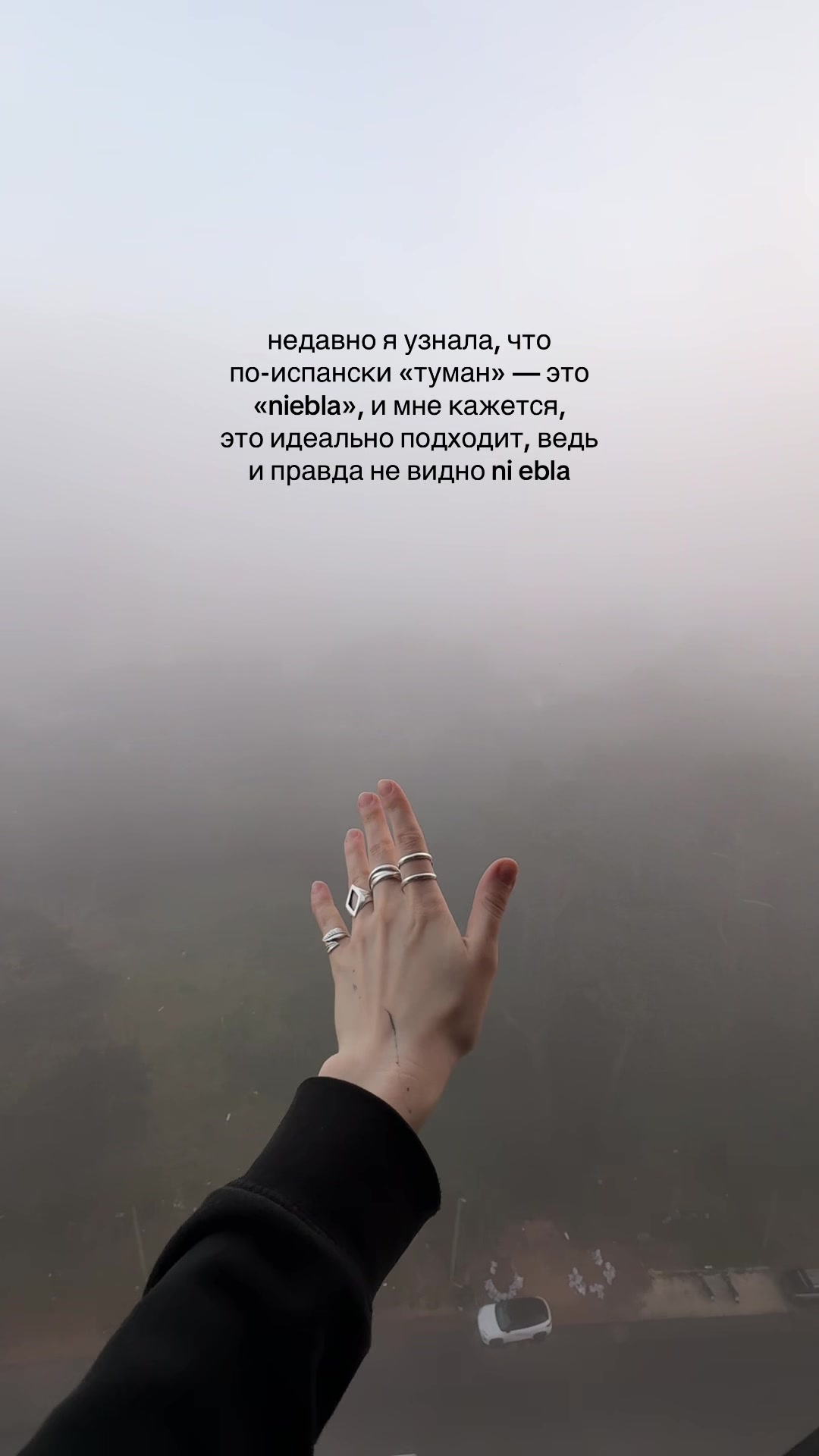 @диджитал бомж