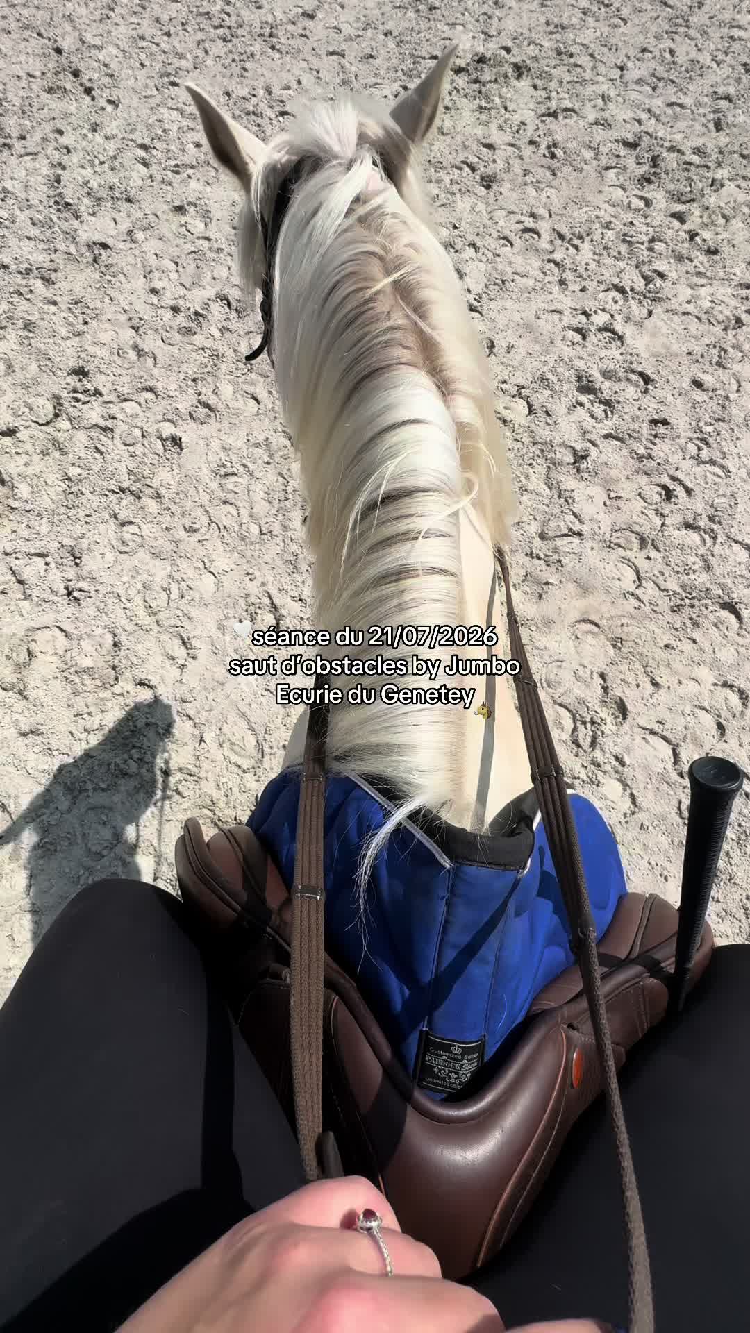 @benjyylepetitponey