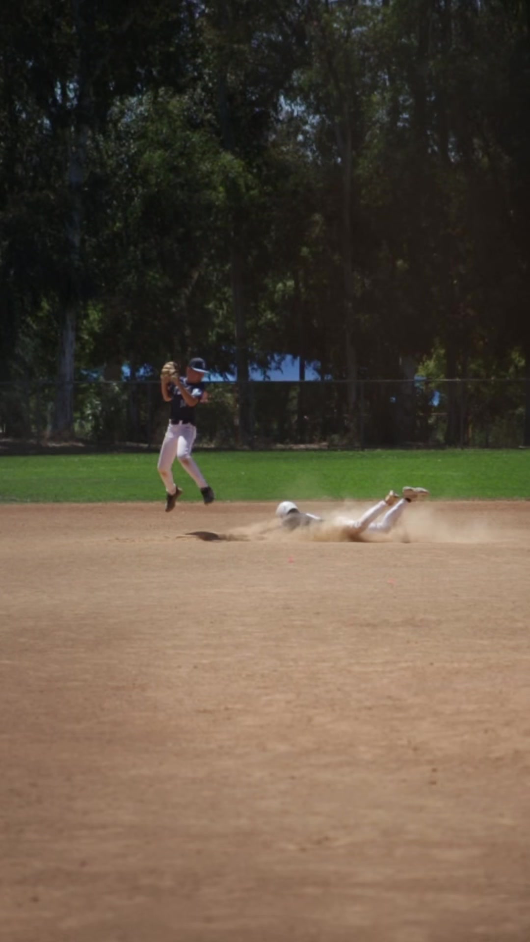 @wcblackdogs.ie
