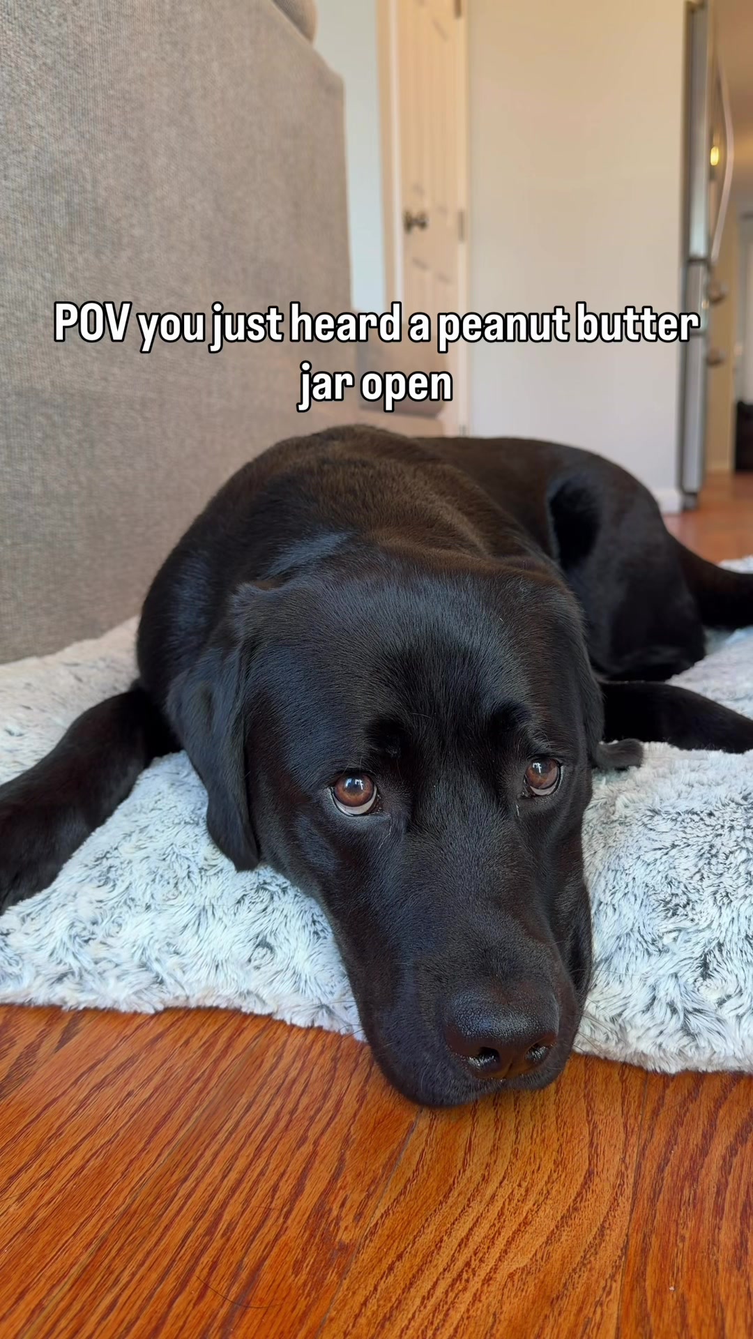 @Kasey and Crouton