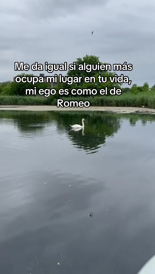 @Edith
