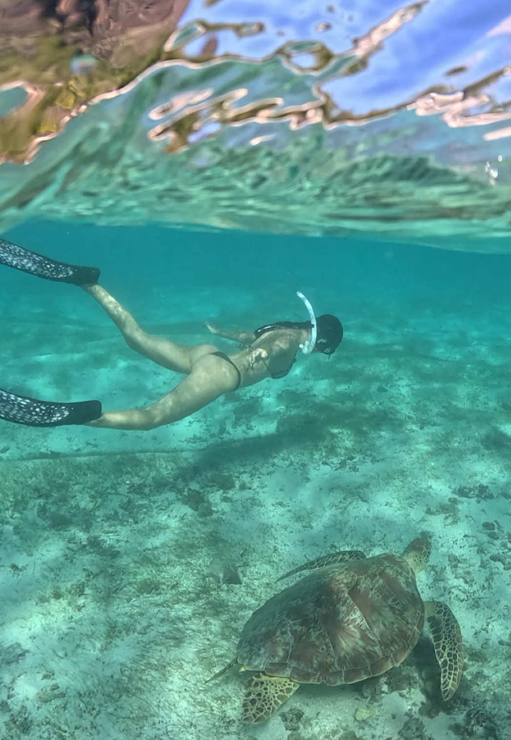 @Ana&iuml;s &agrave; l&rsquo;&Icirc;le Maurice 🧚&zwj;♀️