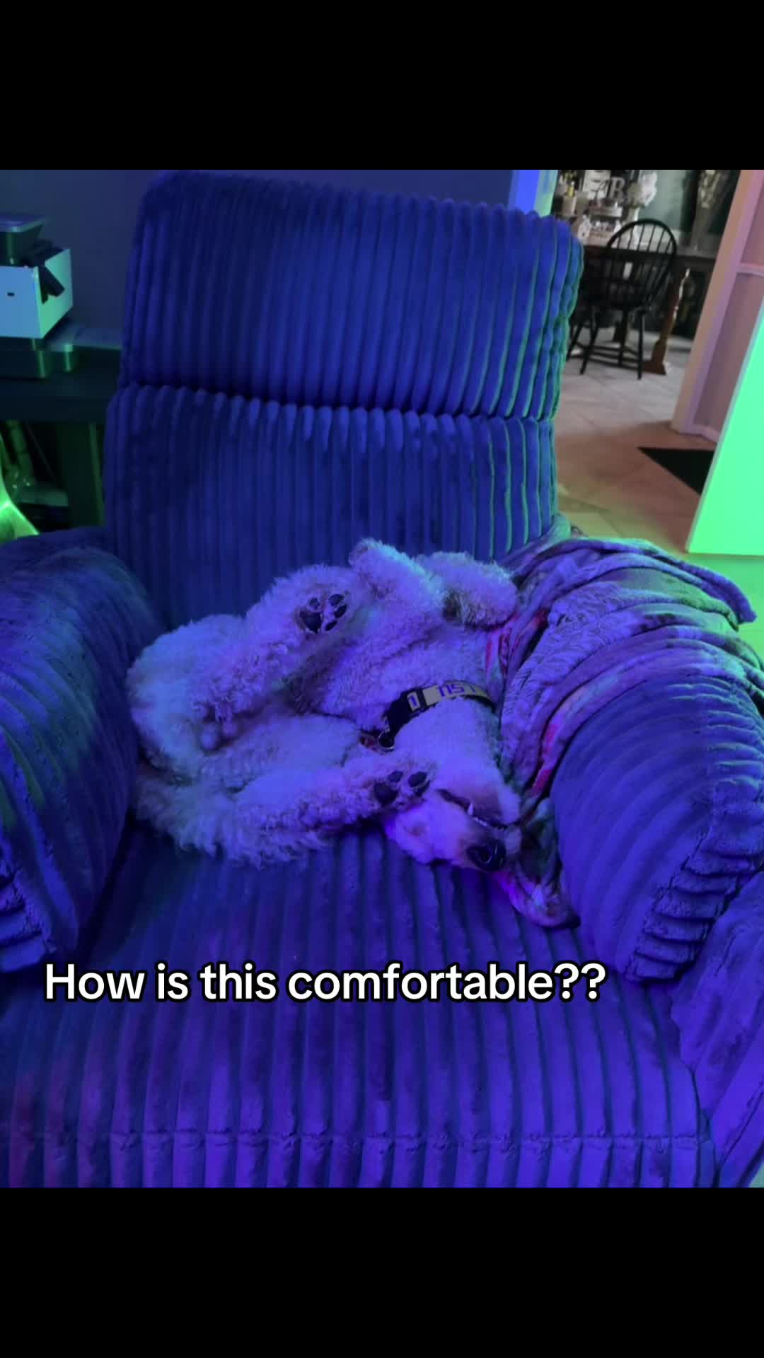 @AKA_Kbeck