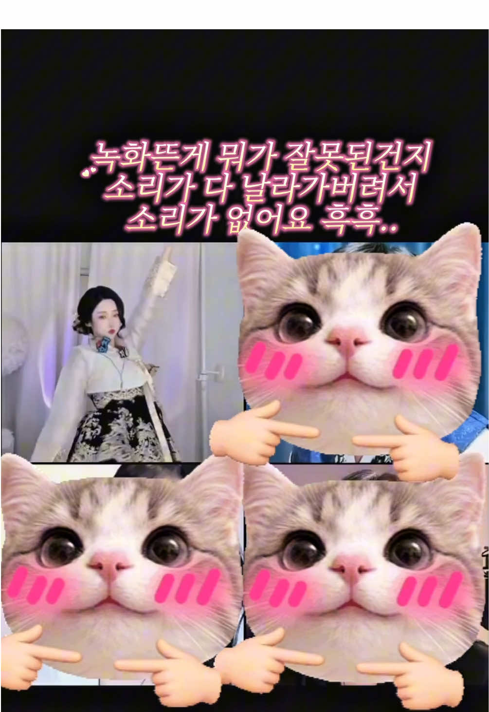 @🐾🦊자인 Jain🦊🐾