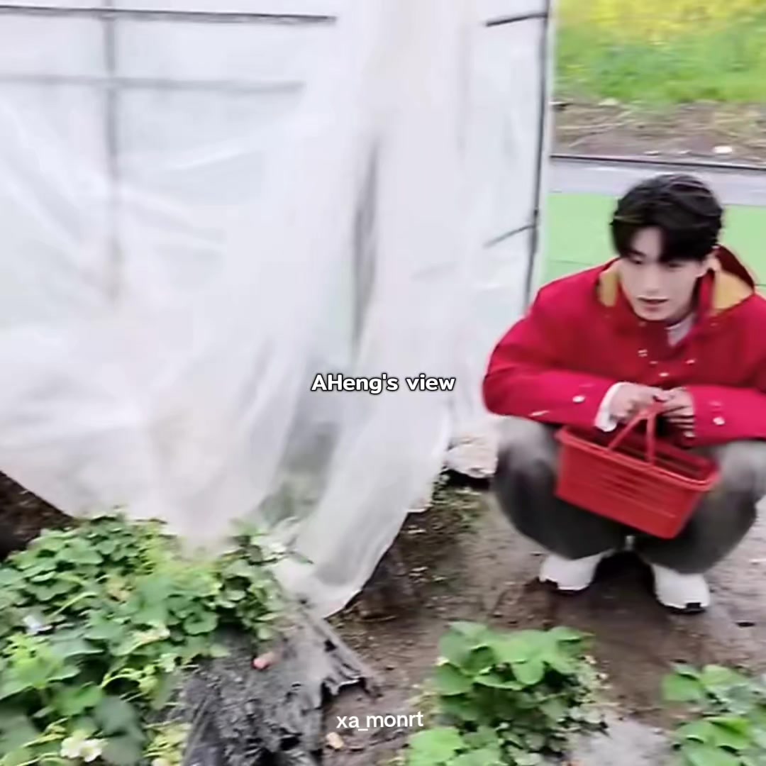 @★。・xᴀᴋᴍʀᴛ🌱シ