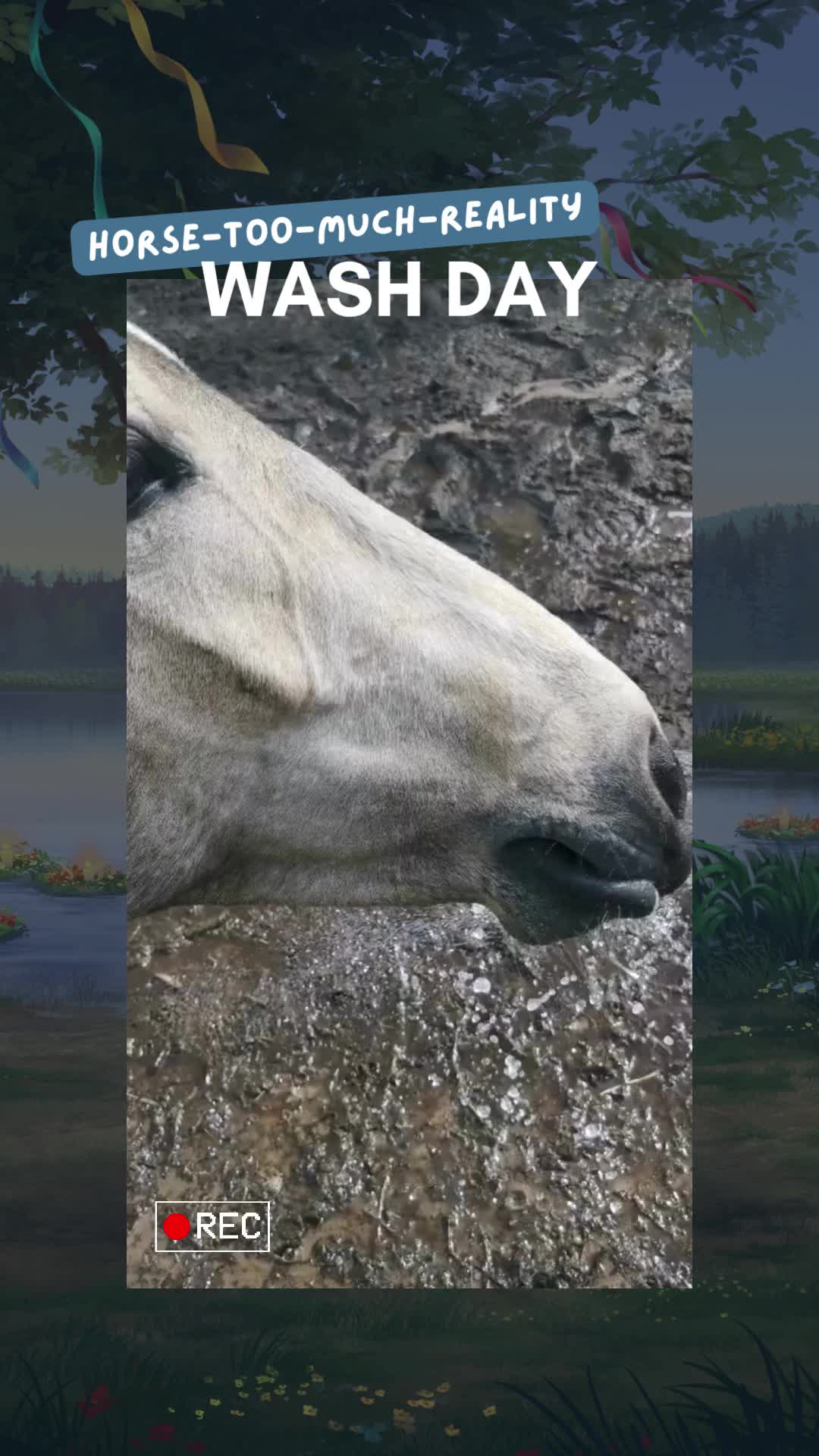 @Horse Reality