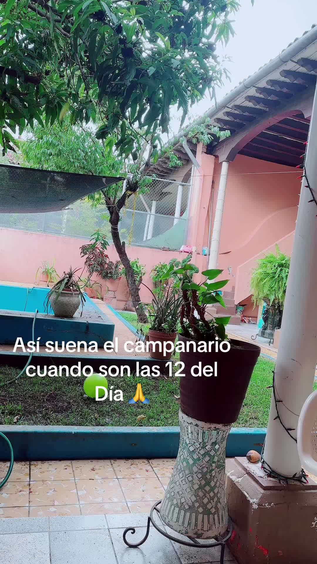 @Natty Delgado de Mar
