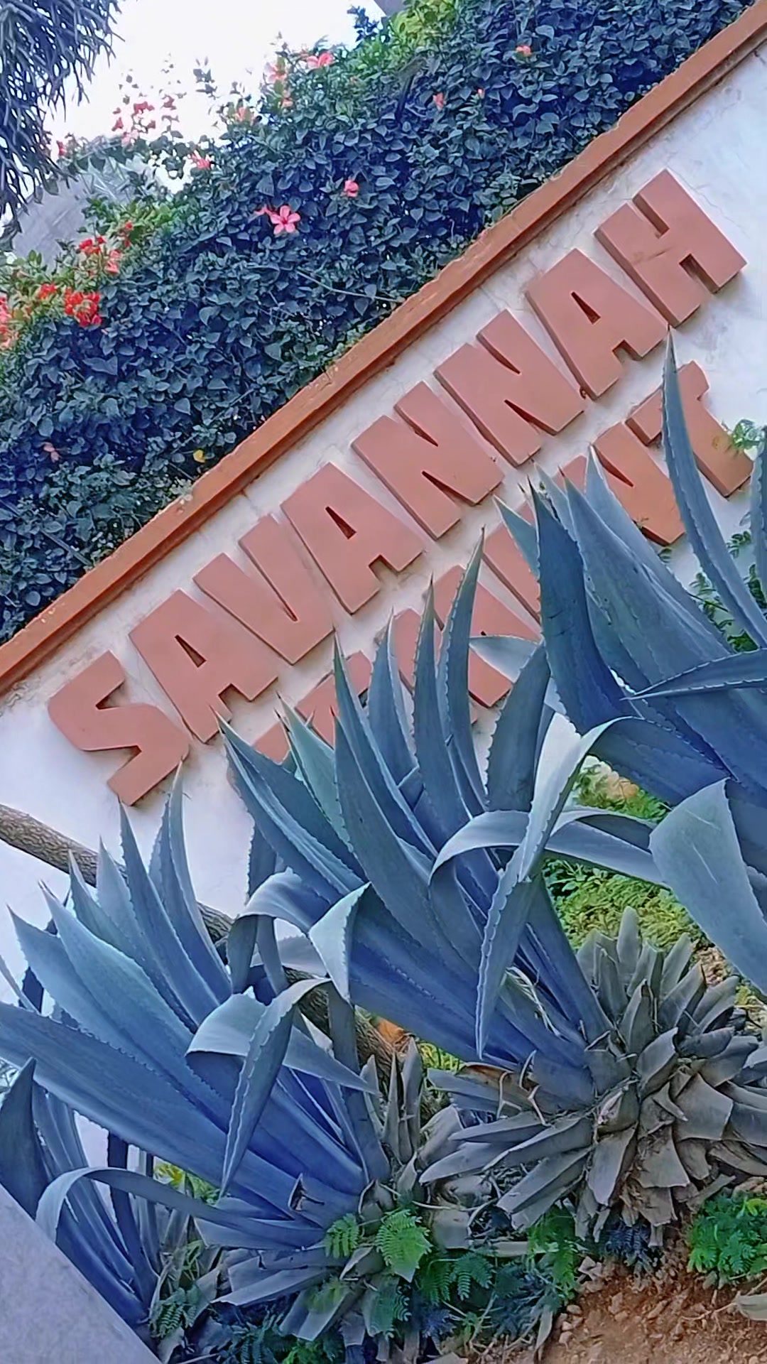 @MAYAKA SPARTAH