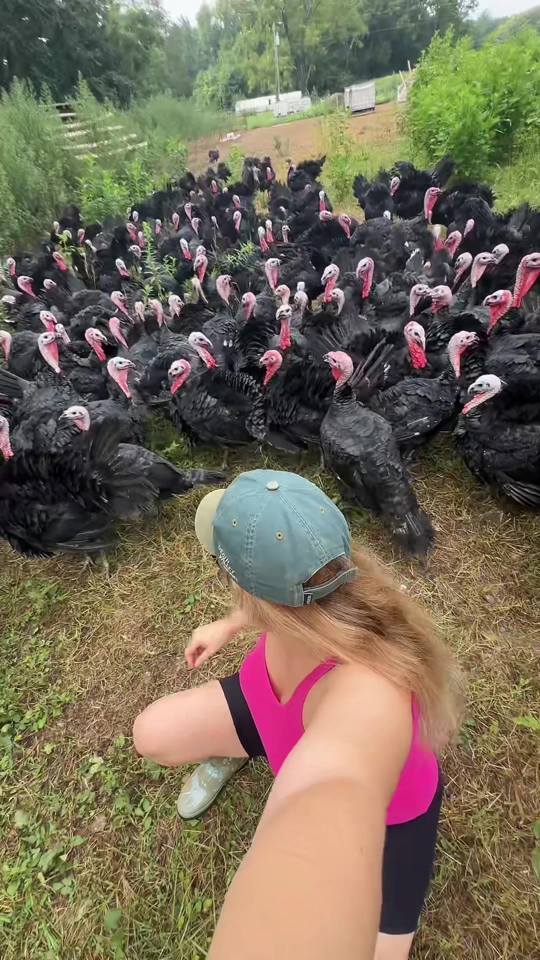 @farmerandtheharpiist