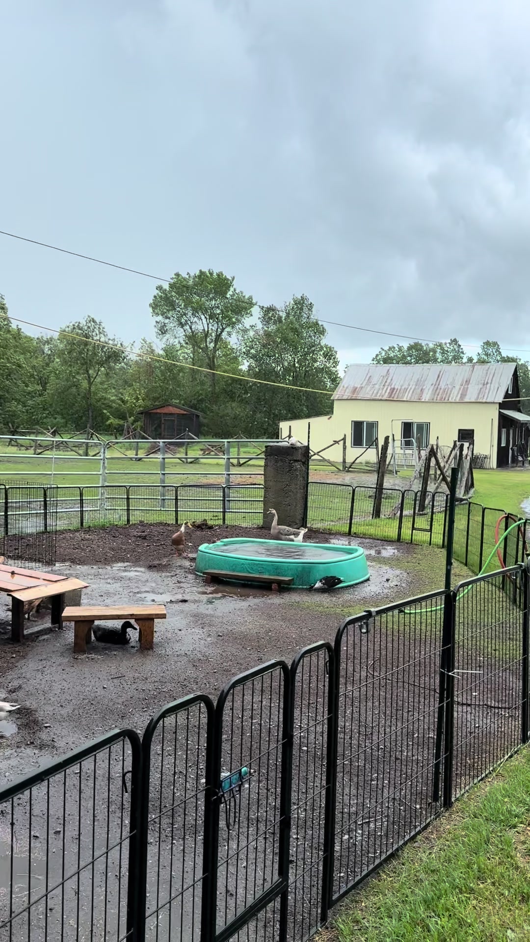 @Useless Farm