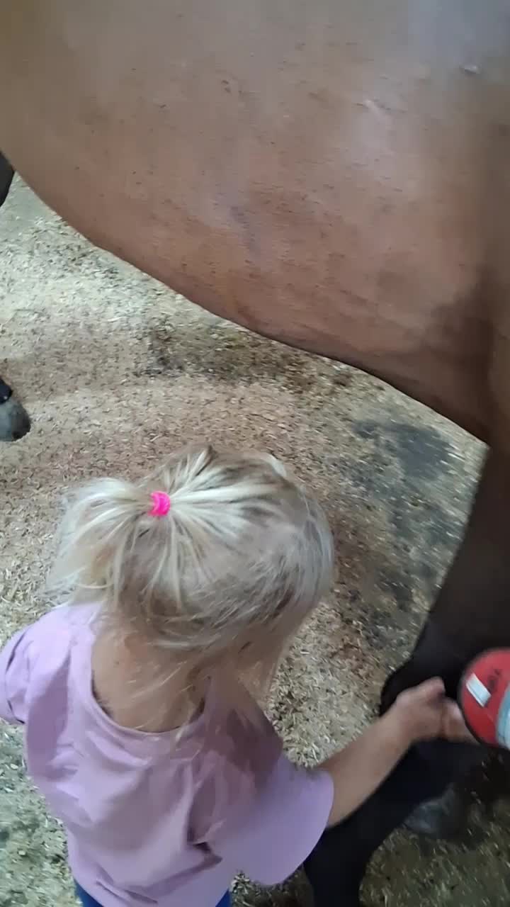 @Taylor | Sah{farm}m