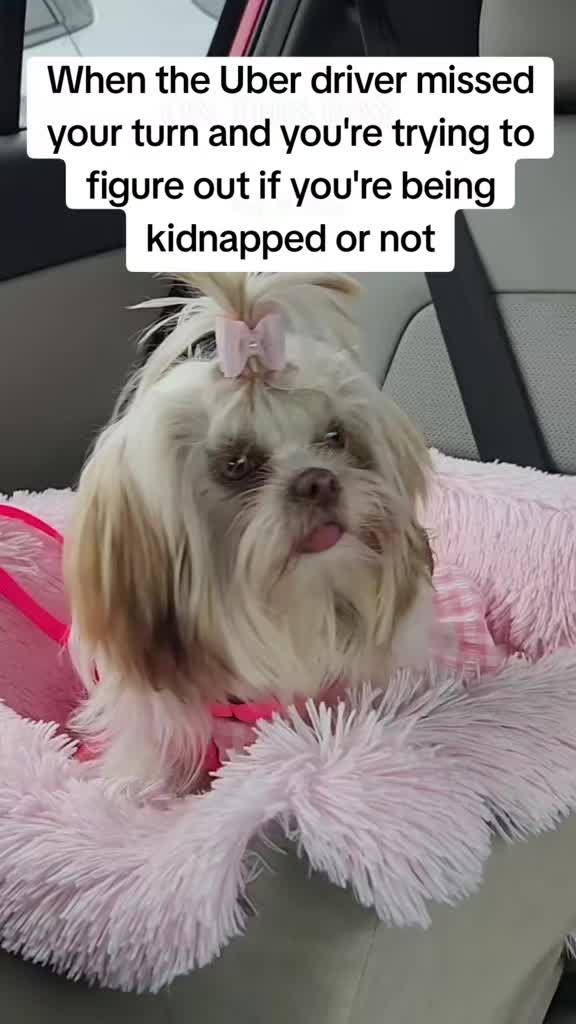 @Little Miss Mollie