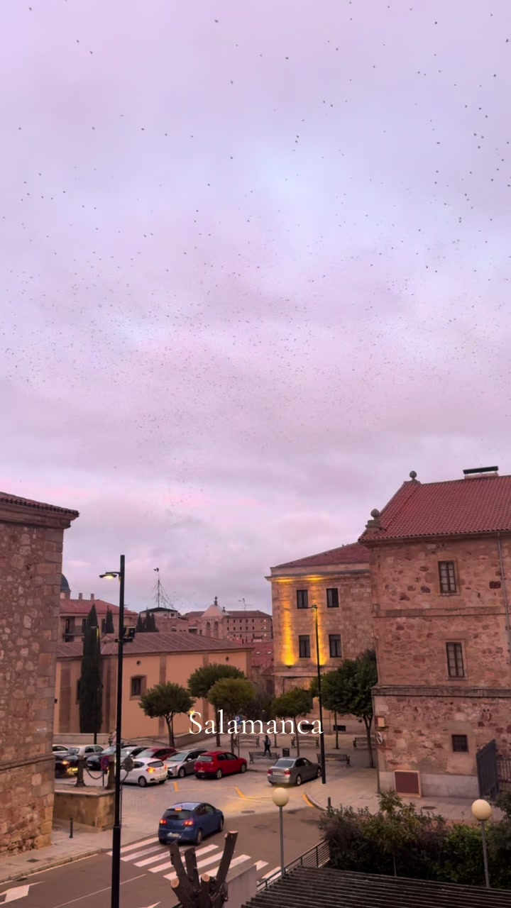 @vittoria__p