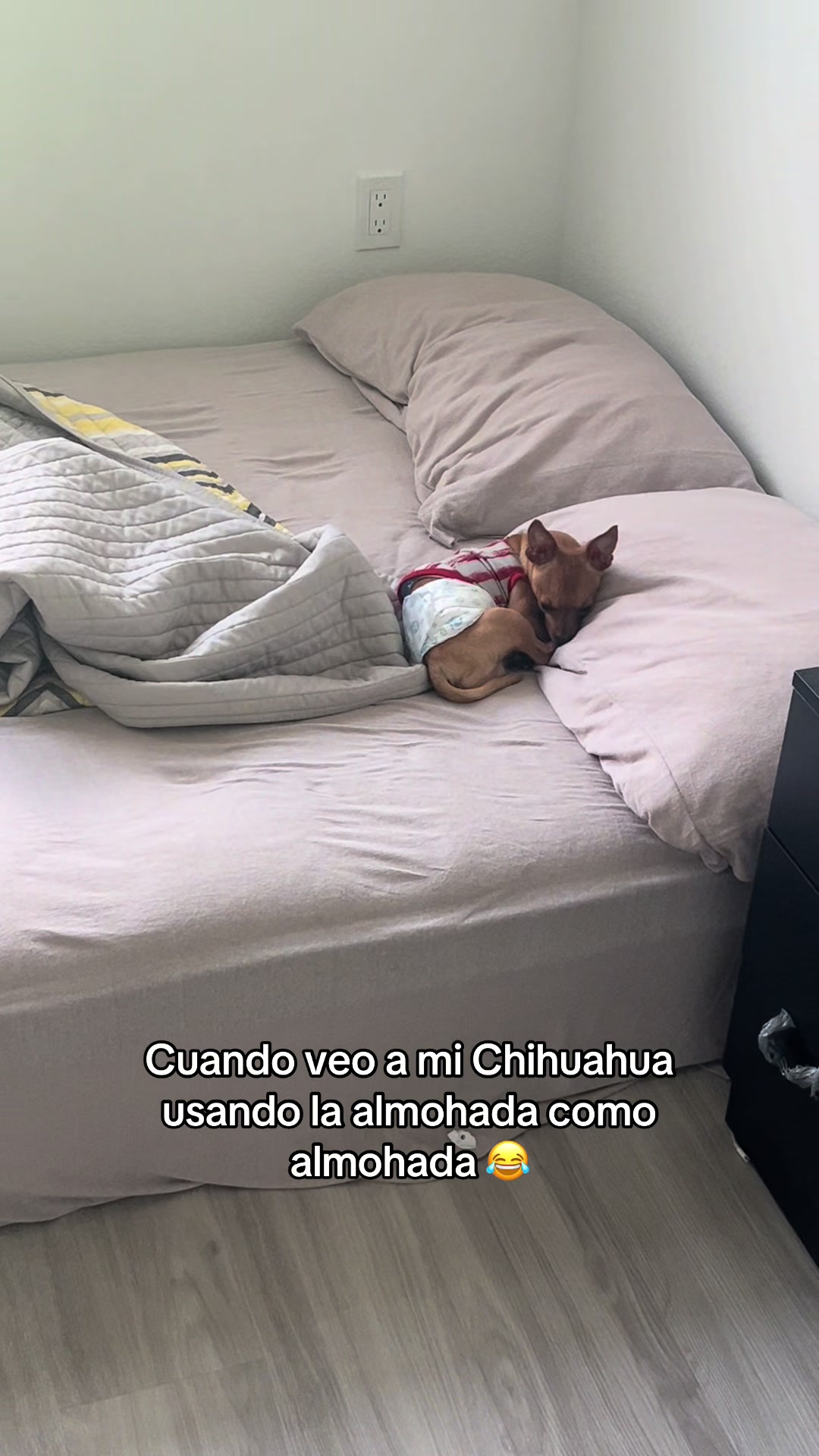 @Gloria Hernandez
