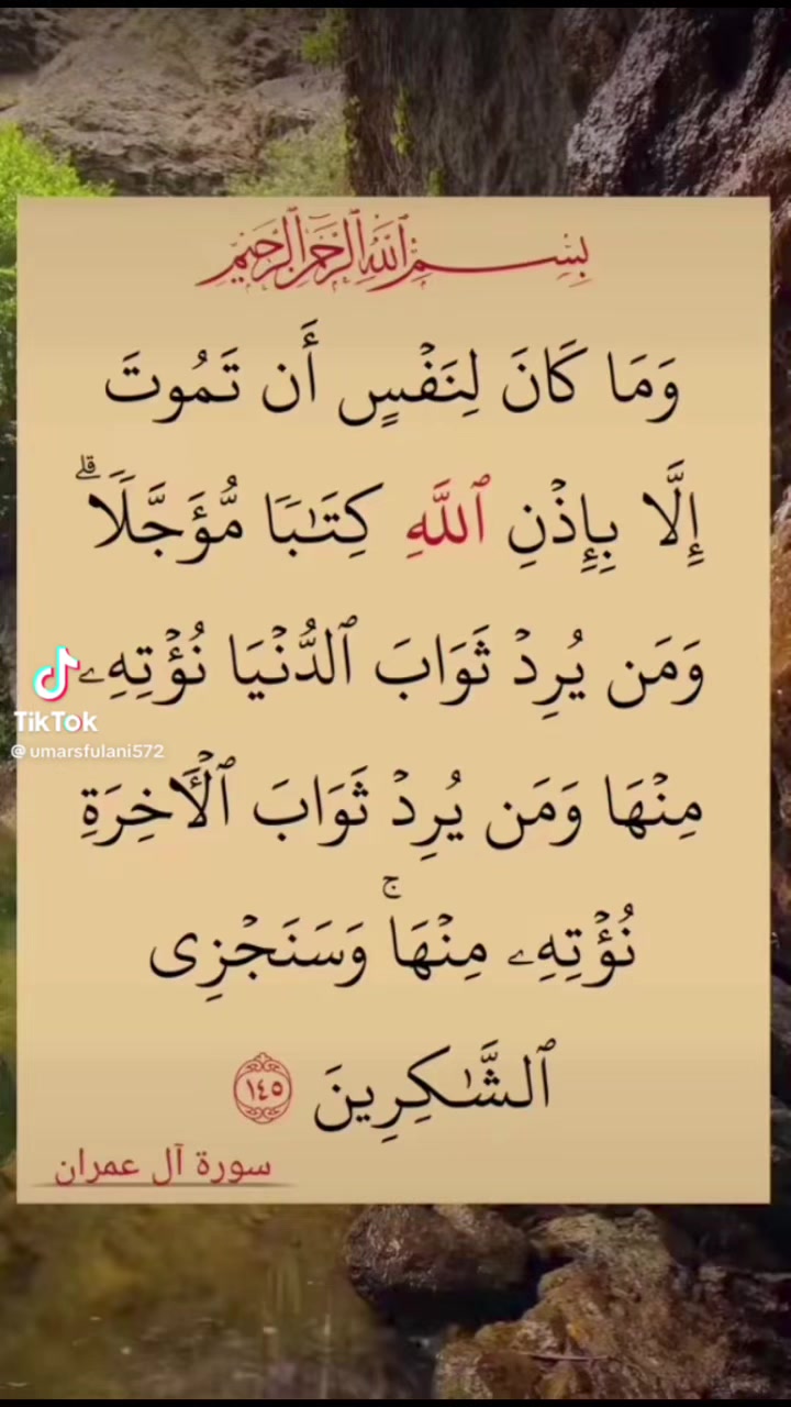@الاسسسود ابوسند