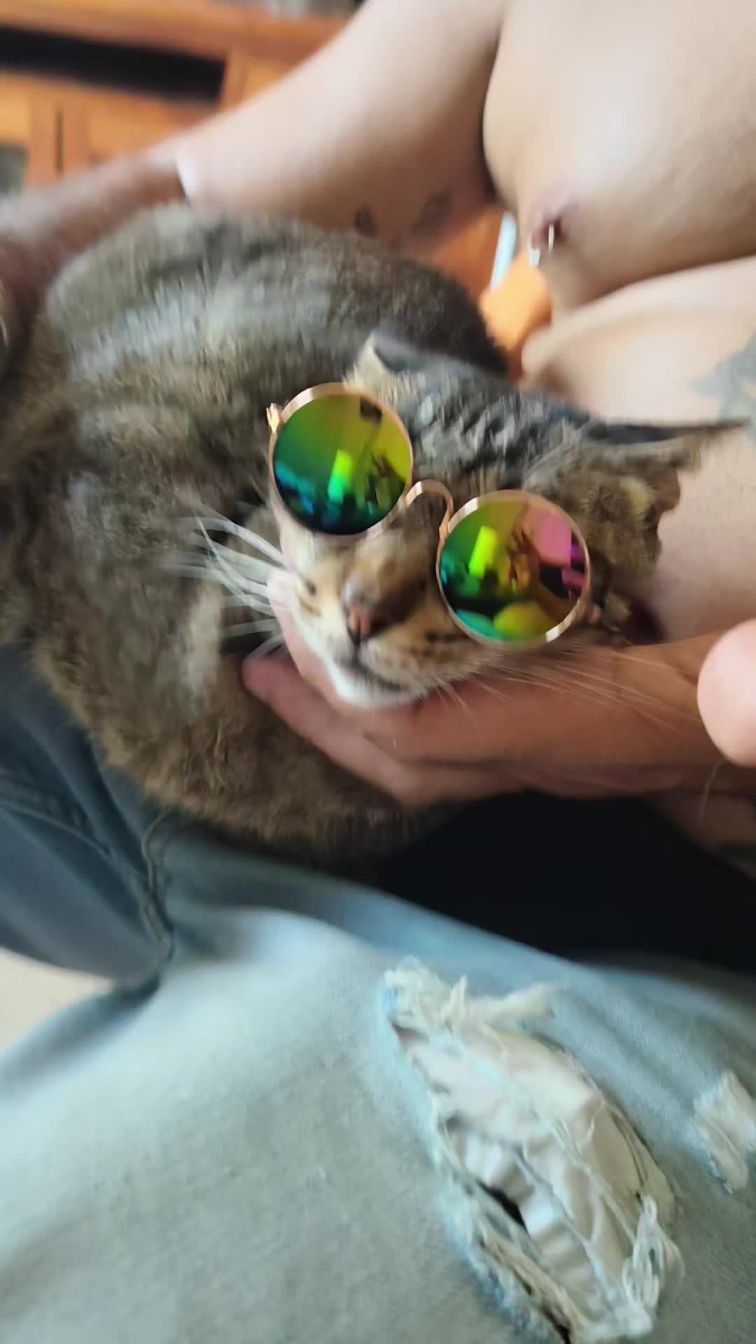 @Sra.Gato
