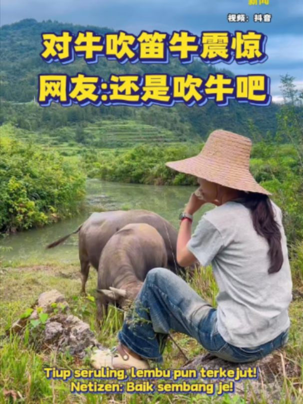 @中国报