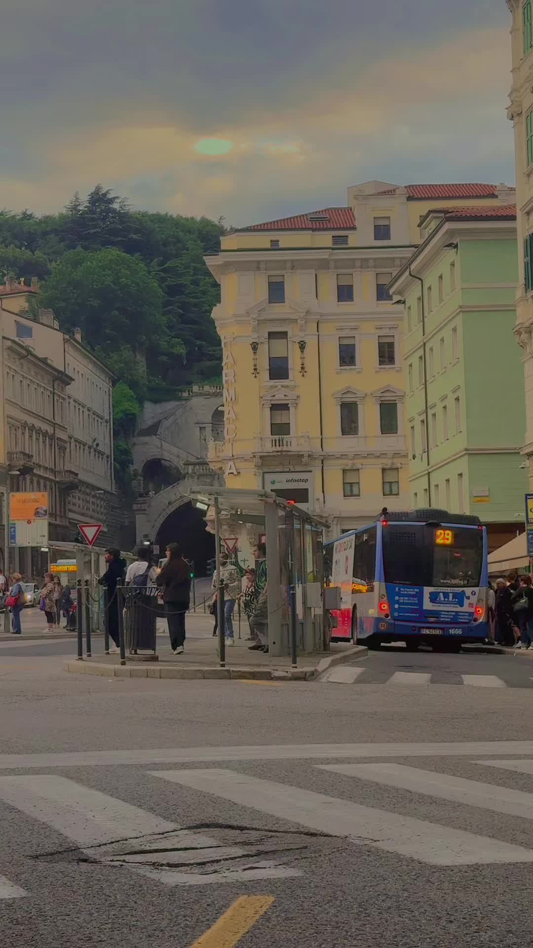 @<Ali🦁🦅>🇮🇹