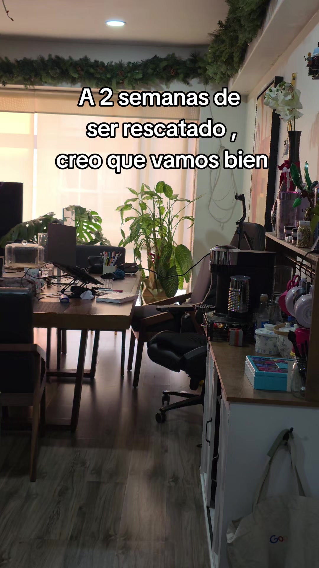 @megara_
