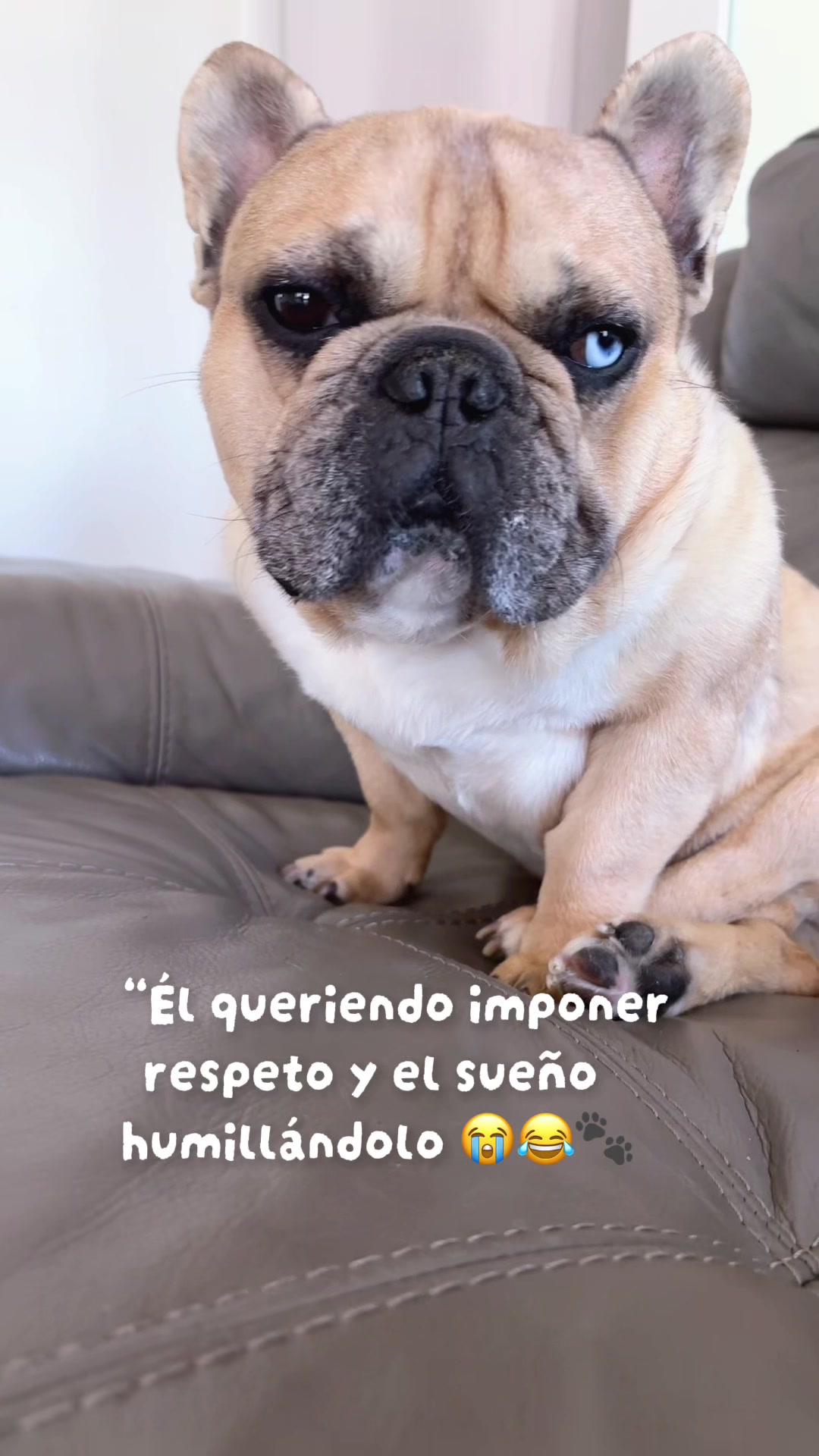 @Susy