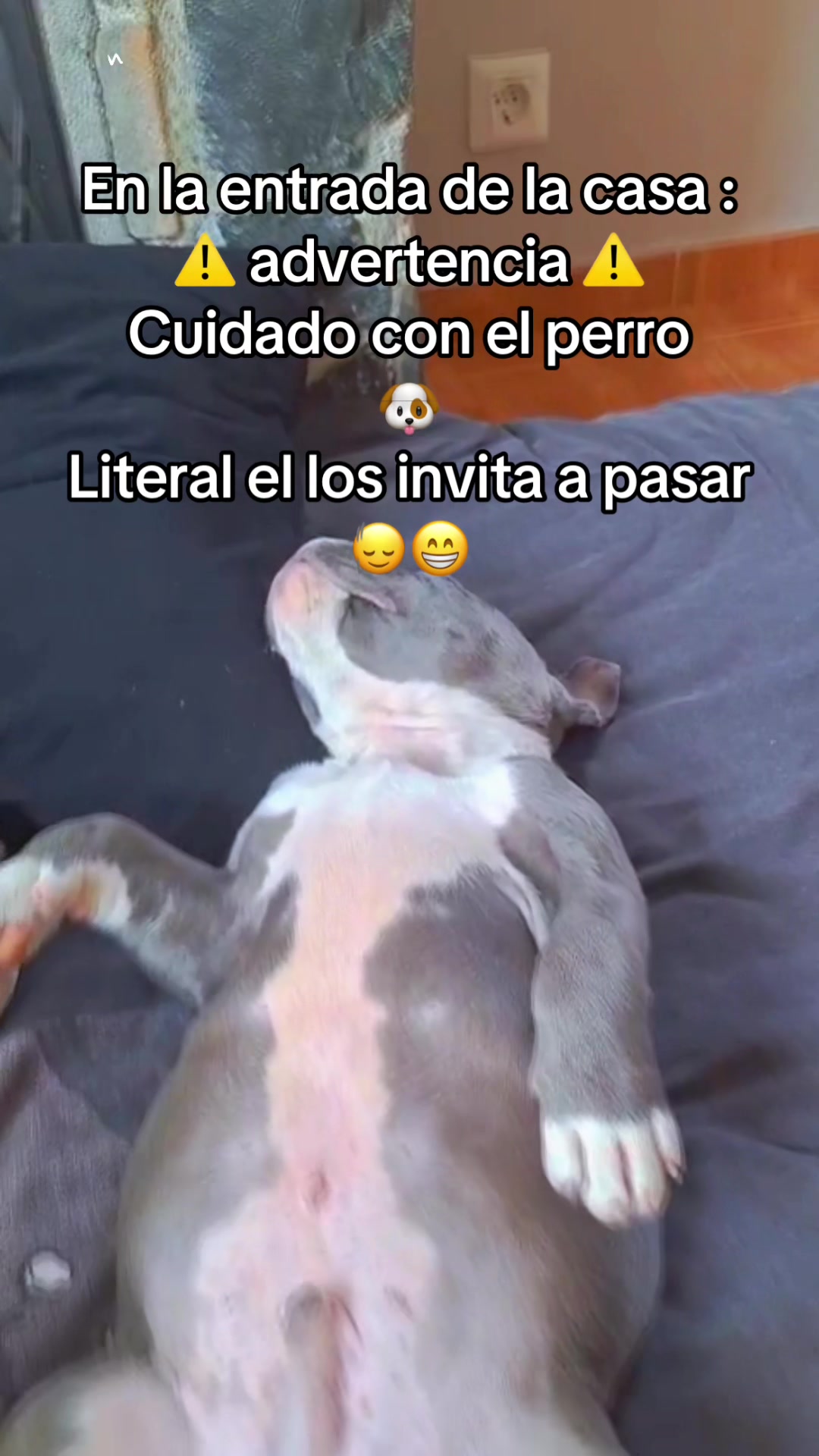 @cristhianeme
