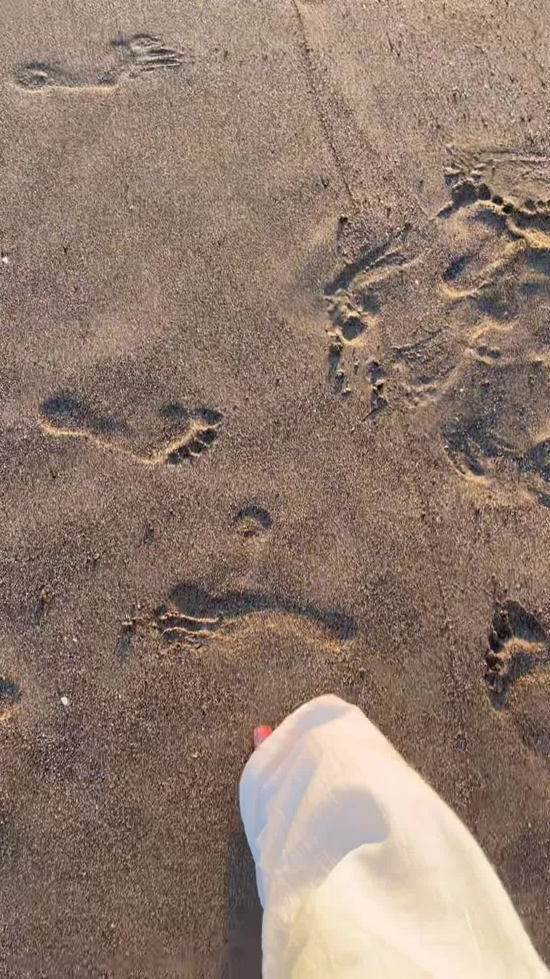 @elsa