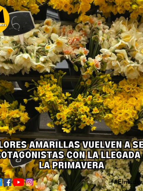 @El Modernista