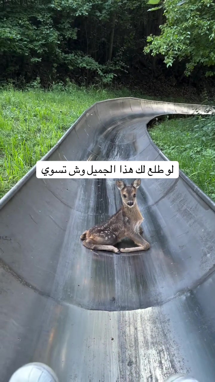 @فايز حول العالم