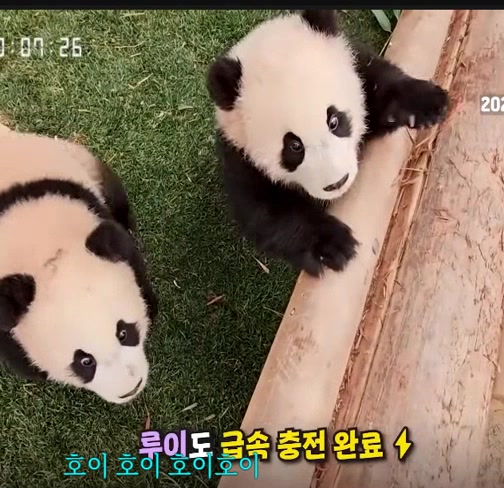 @K-PANDA kim