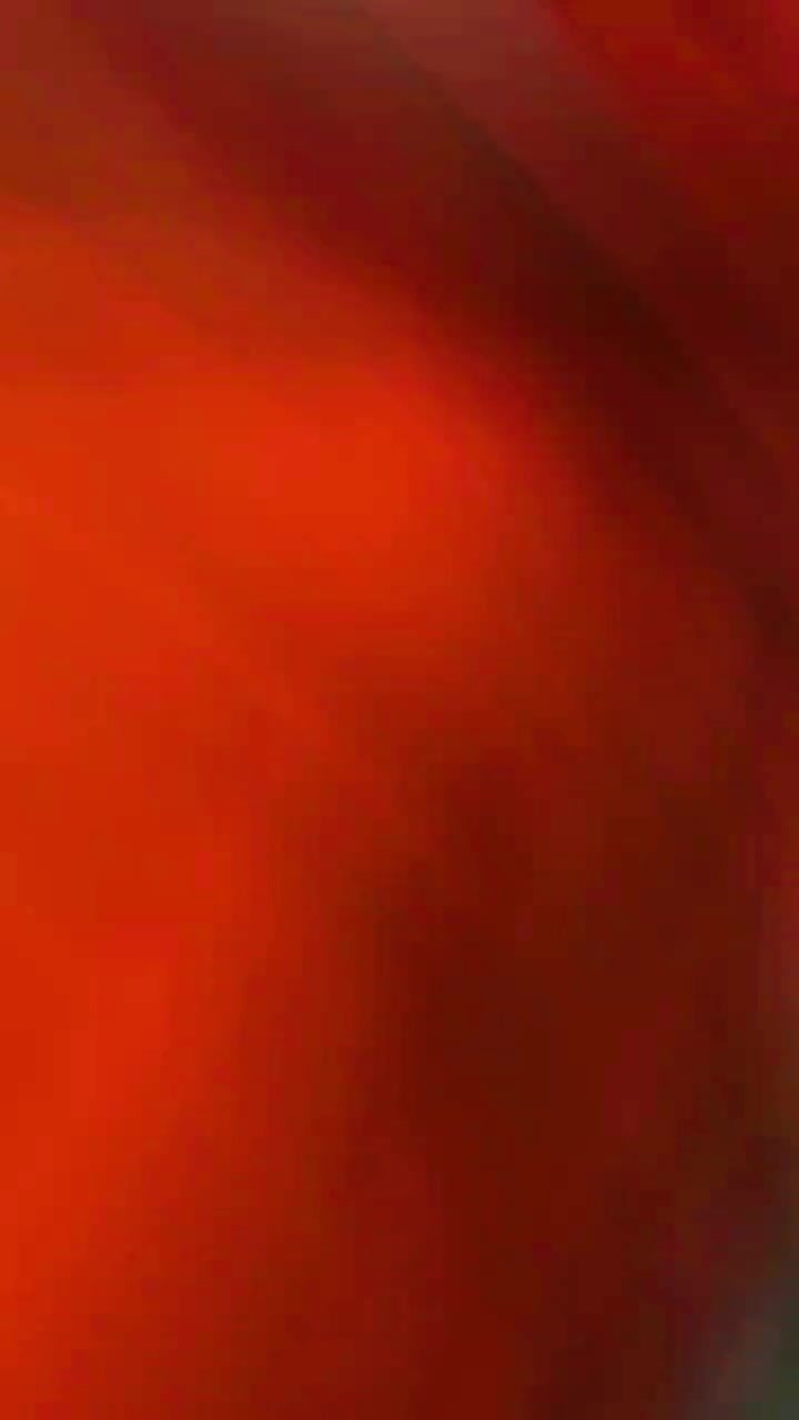 @R,,, A,,, J,,, I,,, T,,, A,,,