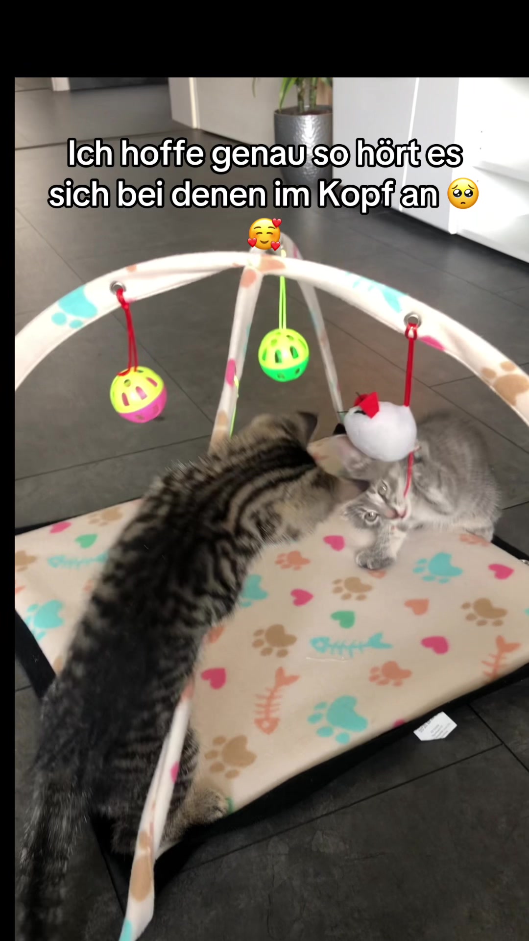 @Happykittycats_
