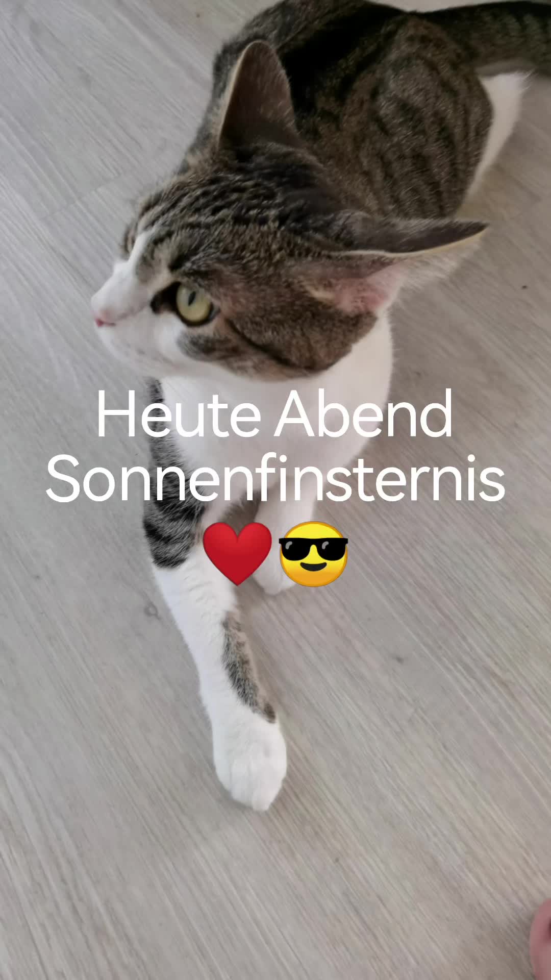 @juli🇩🇪🇺🇸🇷🇺