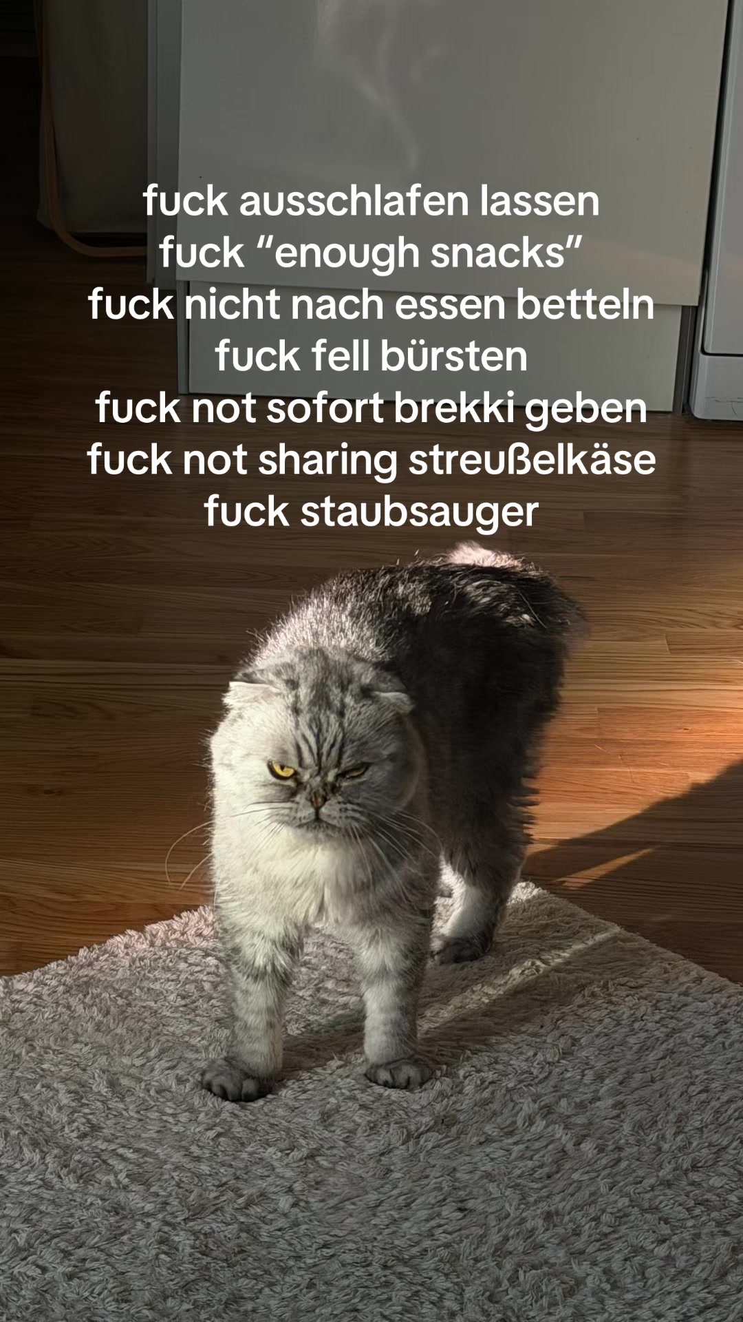 @Suzilla