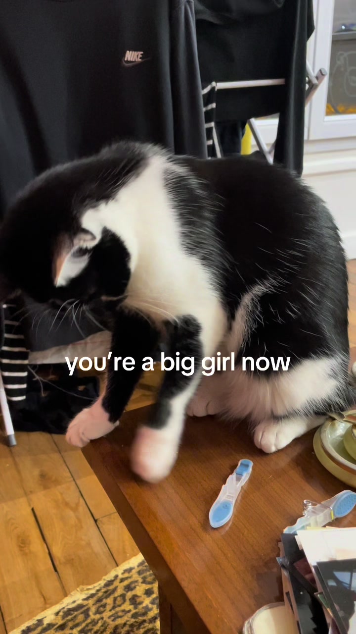 @sasha
