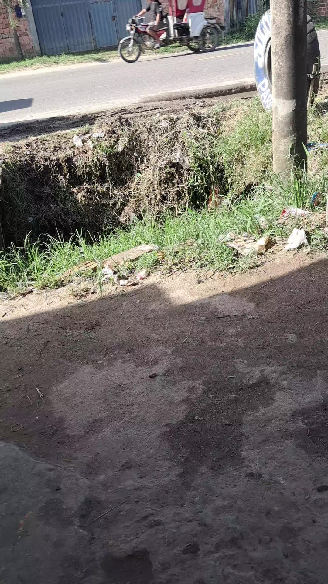 @felix el gato2