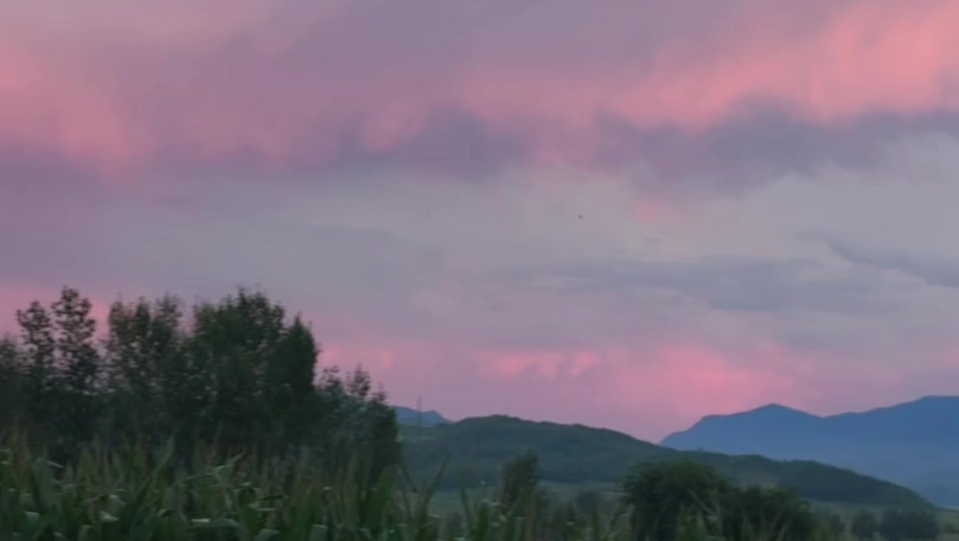 @maikawa