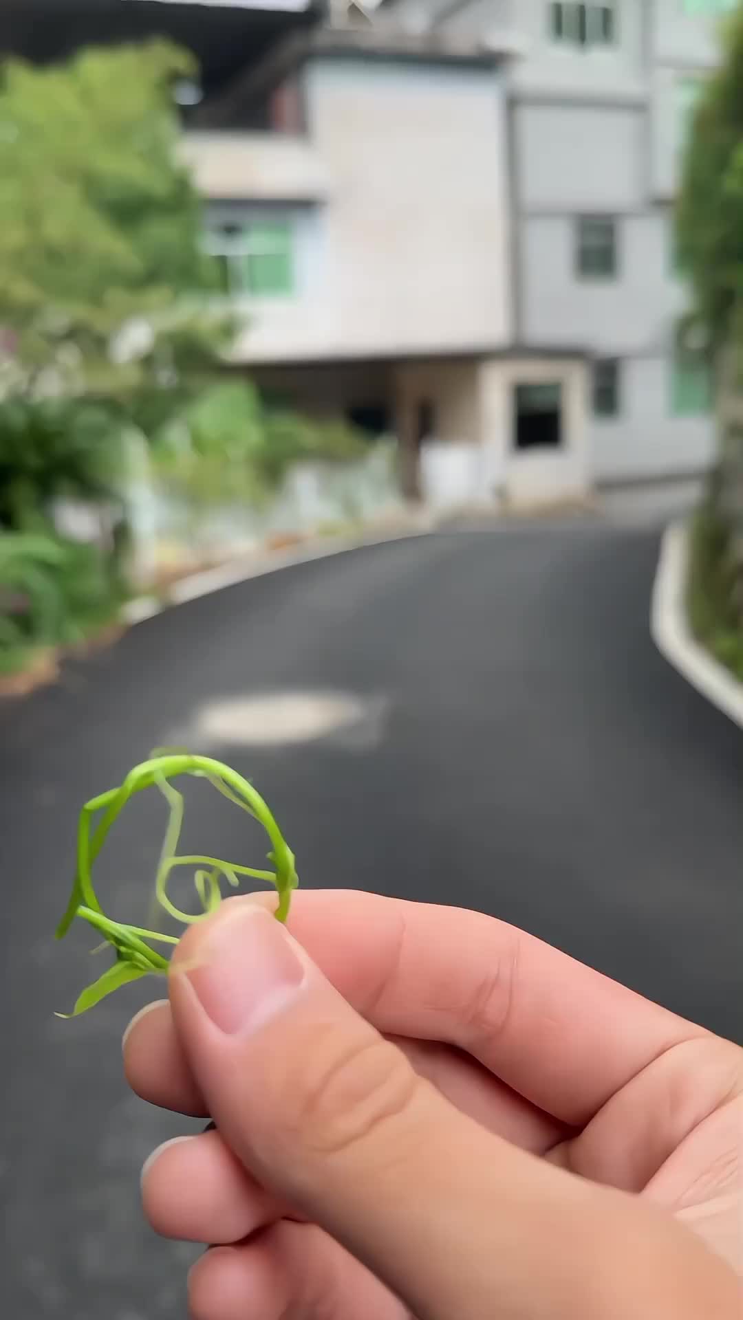 @F A T I M A