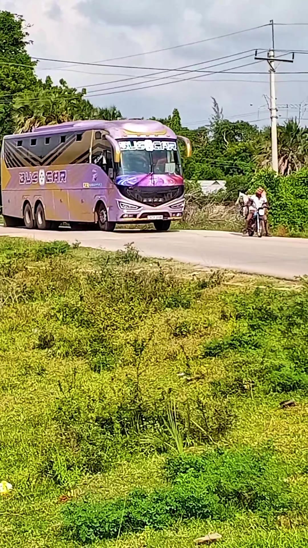 @️Bus Enthusiast Witu massive