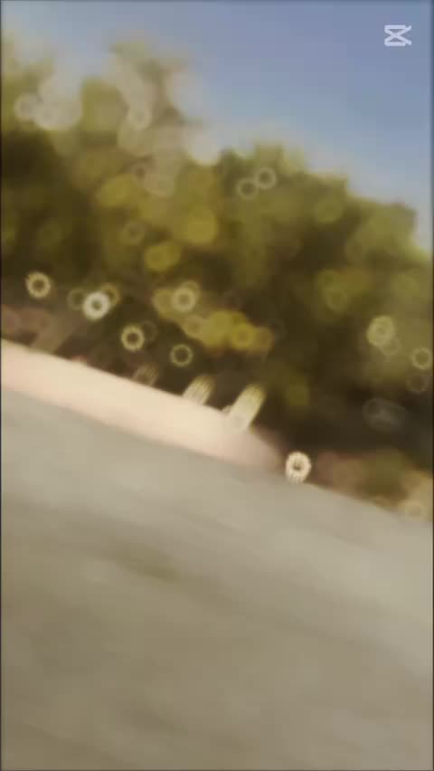 @DUCHA 302