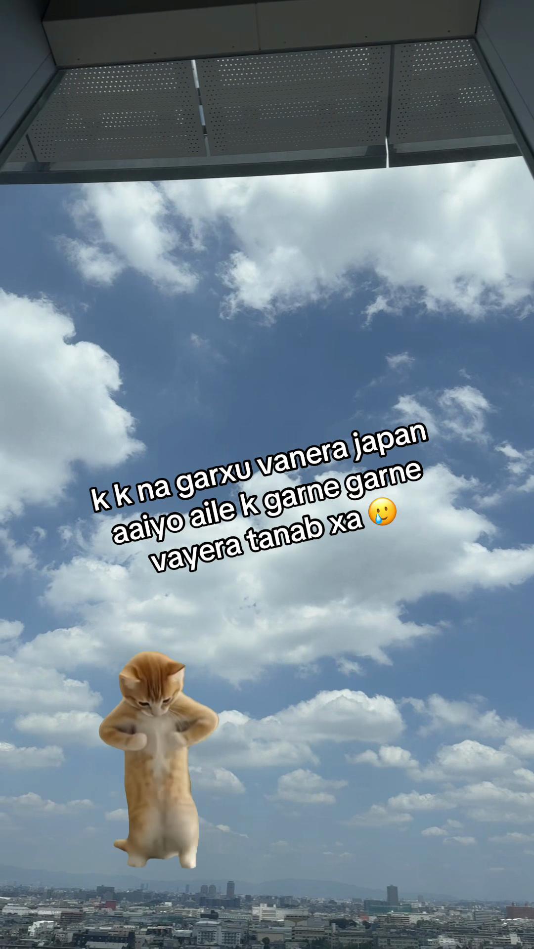 @yangsenpai6