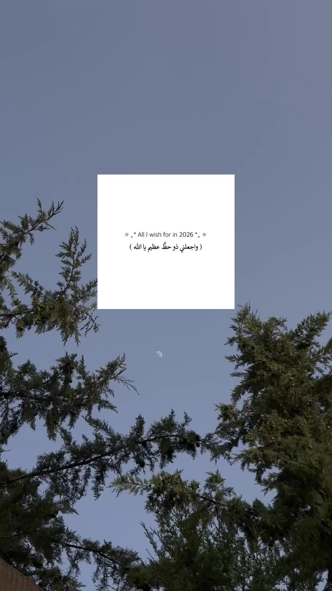 @أفنان.،🌿
